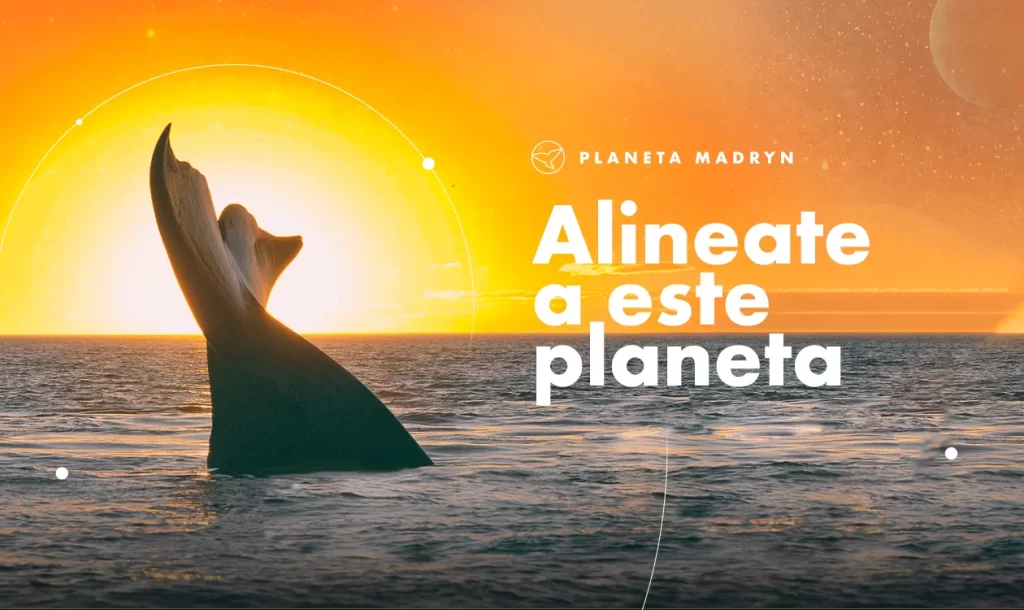 Alineate al #PlanetaMadryn Campaña Ballenas de Humo Rojo 2023