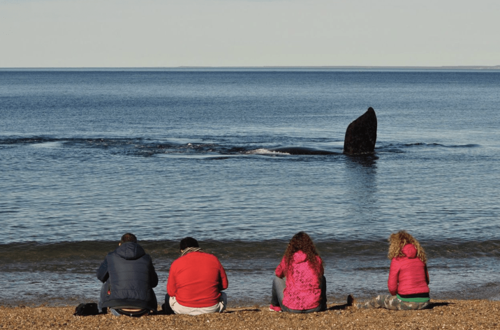 Campañas de Publicidad de Turismo en la era digital